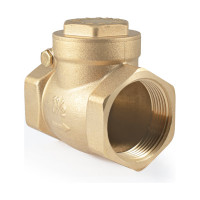 Обратный клапан PROFACTOR горизонтальный, в/в 1 1/2" PF CV 249.40