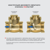 Обратный клапан PROFACTOR горизонтальный, в/в 1" PF CV 249.25