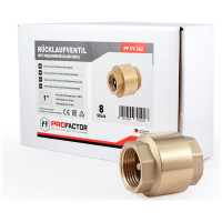 Обратный клапан PROFACTOR с латунным штоком, в/в 1" PF CV 242