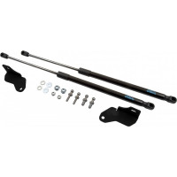 Упоры капота для CHERY Tiggo 2 Pro (J69), 2021-, 2 шт ARBORI HD.017103