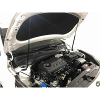 Упоры капота для KIA Cerato (BD), 2018-2021, IV Рест 2021-, 2 шт ARBORI HD.022105