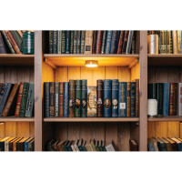 Сейф-книга BRAUBERG Остров сокровищ, 55х115х180 мм, ключевой замок 291050