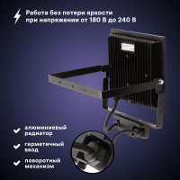 Светодиодный прожектор RITTER серия PROFI 230В 70 Вт 6500К 7000Лм IP65 черный с датчиком движения 53423 9