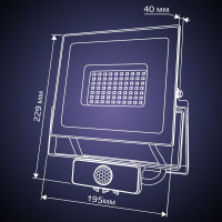 Светодиодный прожектор RITTER серия PROFI 230В 70 Вт 6500К 7000Лм IP65 черный с датчиком движения 53423 9