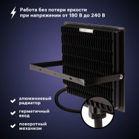Светодиодный прожектор RITTER серия PROFI 230В 300 Вт 6500К 30000Лм IP65 черный 53413 0