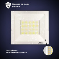 Светодиодный прожектор RITTER серия PROFI 230В 300 Вт 6500К 30000Лм IP65 черный 53413 0