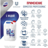 Дезинфицирующее универсальное средство DOMESTOS Professional для туалета, сантехники, канализации, пола, отбеливания 5 л 4605922035626