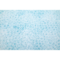 Губка для тела Рыжий кот поролон+массаж, 1 шт. 310512