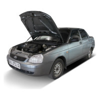 Газовые упоры капота АвтоУпор для Lada Priora 2007-2018, 2 шт., ULAPRI012
