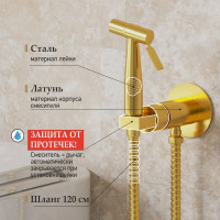 Смеситель с гигиеническим душем Кастелло, встраиваемый Paini брашированное золото CAPJ442R