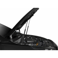 Газовые упоры капота АвтоУпор для Kia Ceed III 2018-н.в., 2 шт., UKICEE021