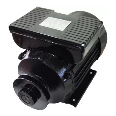 Electrolite Двигатель на компрессор 2,2 кВт Y90L-2 EL (220В,2800 об/м) 2937