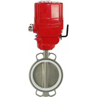 Затвор DN.ru 316L-316L-PTFE Ду100 Ру16 с электроприводом EX-015 220В D050-02445