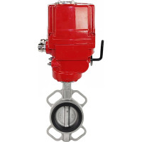 Затвор DN.ru 316L-316L-NBR Ду80 Ру16 с электроприводом EX-010 220В D050-02444