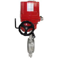 Затвор DN.ru 316L-316L-NBR Ду80 Ру16 с электроприводом EX-010 220В D050-02444