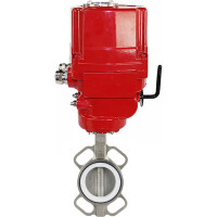 Затвор DN.ru 316L-316L-PTFE Ду80 Ру16 с электроприводом EX-010 220В D050-02451