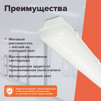 Линейный промышленный светильник Wolta  IP65, 6500К, 4400Лм, ДСП14-36-001-6К