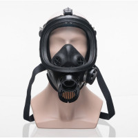 Панорамная маска ДОТ ППМ-88, рост 2, размер Б, 302-123-0010 302-123-0003