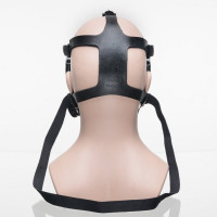 Панорамная маска ДОТ ППМ-88, рост 2, размер Б, 302-123-0010 302-123-0003