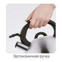 Чайник со свистком NADOBA VIRGA 3,8 л, 731001