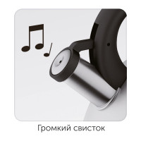 Чайник со свистком NADOBA VIRGA 3,8 л, 731001