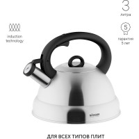 Чайник со свистком NADOBA BERNA 3,0 л, 731102