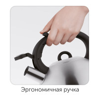 Чайник со свистком NADOBA BERNA 3,0 л, 731102