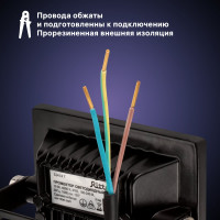 Светодиодный прожектор RITTER серия PROFI 230В 10 Вт 4000К 1000Лм IP65 черный 53414 7