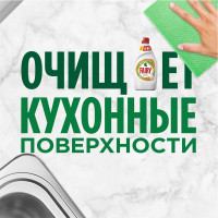 Средство для мытья посуды FAIRY, 450 мл, Апельсин и лимонник 0001009557 603744