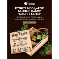 Табличка Банные Штучки 29х18 см, береза 32328