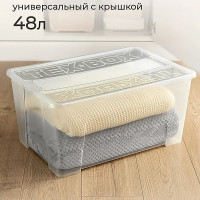 Контейнер универсальный HONEYCOMB 48 л, прозрачный M-048.0-00.07