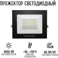 Светодиодный прожектор Lumin'arte 50Вт, 5700К Холодный свет, IP65, 4000Лм, черный LFL-50W/06