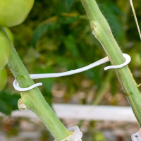 Кистедержатель MasterProf двойной крючок, пластик, 10 шт ДС.070778.10