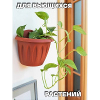 Настенное кашпо Martika Фелиция терракотовый, 24 см С122Т