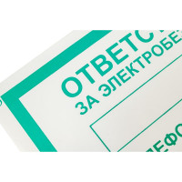 Знак "ответственный за электробезопасность" Стандарт Знак а31, 100x200 мм, пленка пп 00-00033509