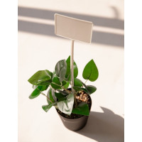 Садовые таблички для растений MasterProf высота 13 см, диаметр 5 см, 10 шт. ДС.070749.10