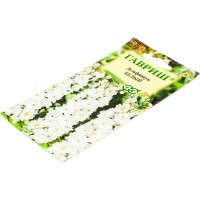Дельфиниум ГАВРИШ Белый 0,05 г DH 1071857650