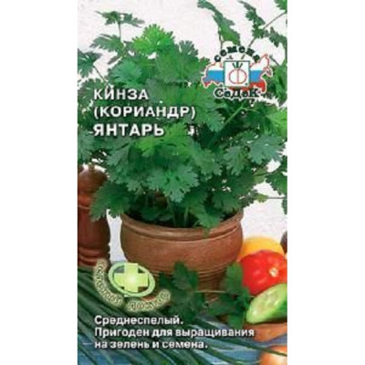 СеДек Кориандр Янтарь(ср.спел.,св.-зелен.,сильн.аромат, 40-50 см.). Евро, 2 13787