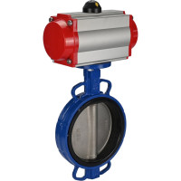 Затвор DN.ru дисковый GGG50-GGG40-EPDM Ду250 Ру16 с пневмоприводом, пневмораспределителем D050-01831