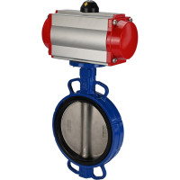 Затвор DN.ru дисковый GGG50-GGG40-EPDM Ду250 Ру16 с пневмоприводом, пневмораспределителем D050-01831