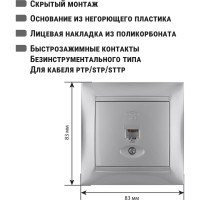 Розетка телефонная RJ11 TDM ELECTRIC серебристый металлик, серия "Лама" SQ1815-0215