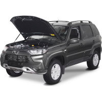 Газовые упоры капота для Lada Niva Travel 2021-н.в., 2 шт., АвтоУпор ULATRA011