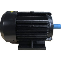 Электродвигатель VEKTOR YH100L-2 (GQ40, №33) 00000000949