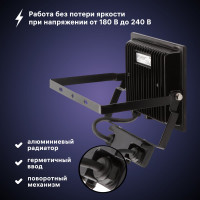 Светодиодный прожектор RITTER серия PROFI 230В 50 Вт 6500К 5000Лм IP65 черный с датчиком движения 53422 2