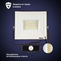 Светодиодный прожектор RITTER серия PROFI 230В 50 Вт 6500К 5000Лм IP65 черный с датчиком движения 53422 2