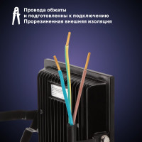 Светодиодный прожектор RITTER серия PROFI 230В 50 Вт 6500К 5000Лм IP65 черный с датчиком движения 53422 2