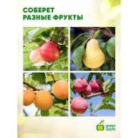 Телескопический плодосъемник GREEN APPLE GAPS01-89 Б0017802