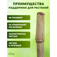 Бамбуковая поддержка GREEN APPLE GBS-8-120 120 см, 8 мм, 5 шт Б0010278