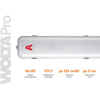 Светильник Wolta PRO УльтраПРОМ с БАП Матовый EM1 ДСП04-36-041-4К