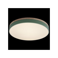 Накладной светильник LOFT IT Axel 10001/36 Green